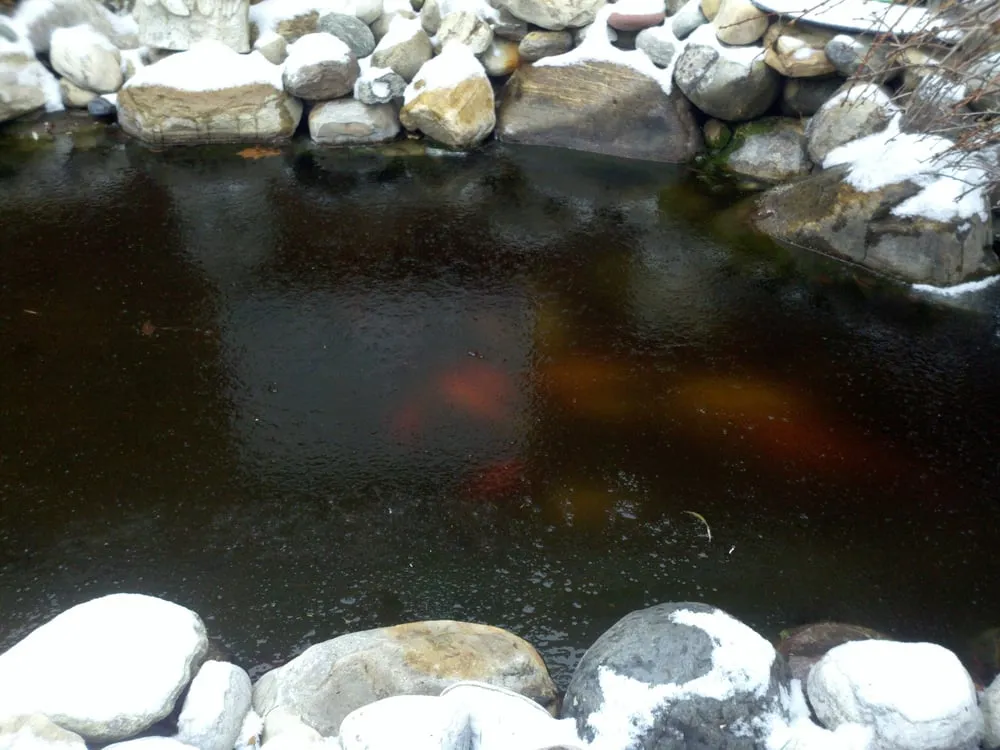 Reliable outdoor landscaping in Rexford, NY by Kulak Nursery & Landscaping