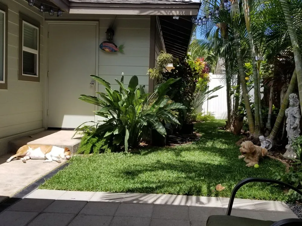 Custom yard maintenance experts serving Honolulu, HI - Kula's Landscaping