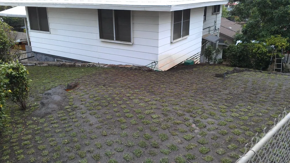 Reliable lawn mowing service with custom design across Honolulu, HI - Kula's Landscaping