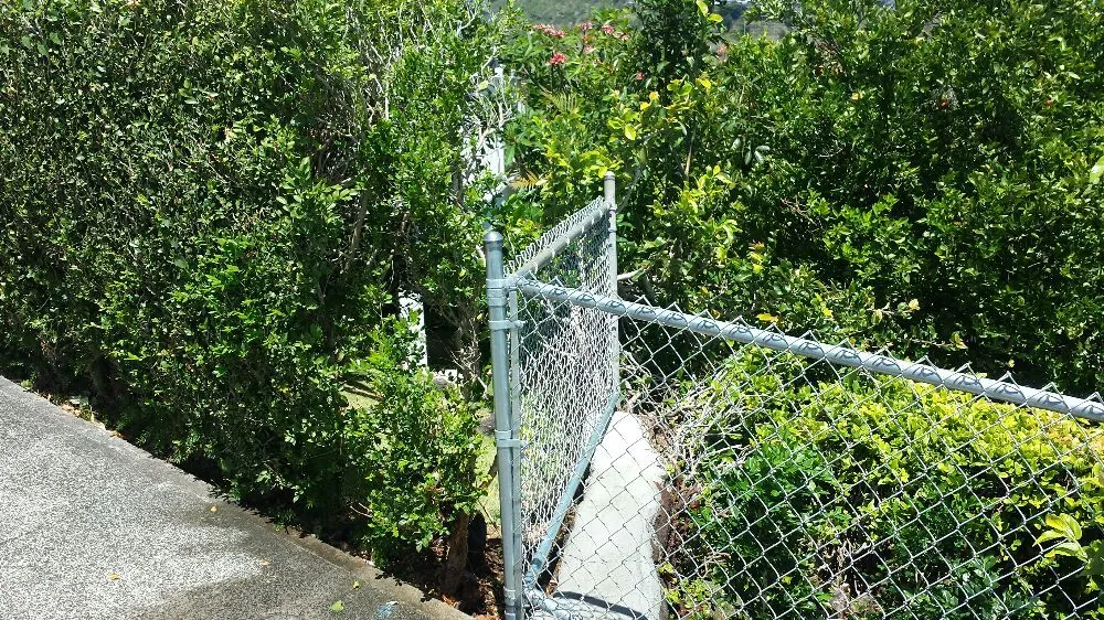 Top-rated lawn mowing service in Honolulu, HI - Kula's Landscaping