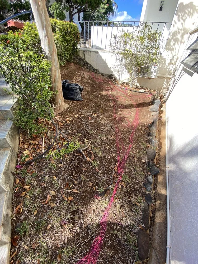 Custom yard maintenance for beautiful yards in Honolulu, HI by Kultivate Grounds