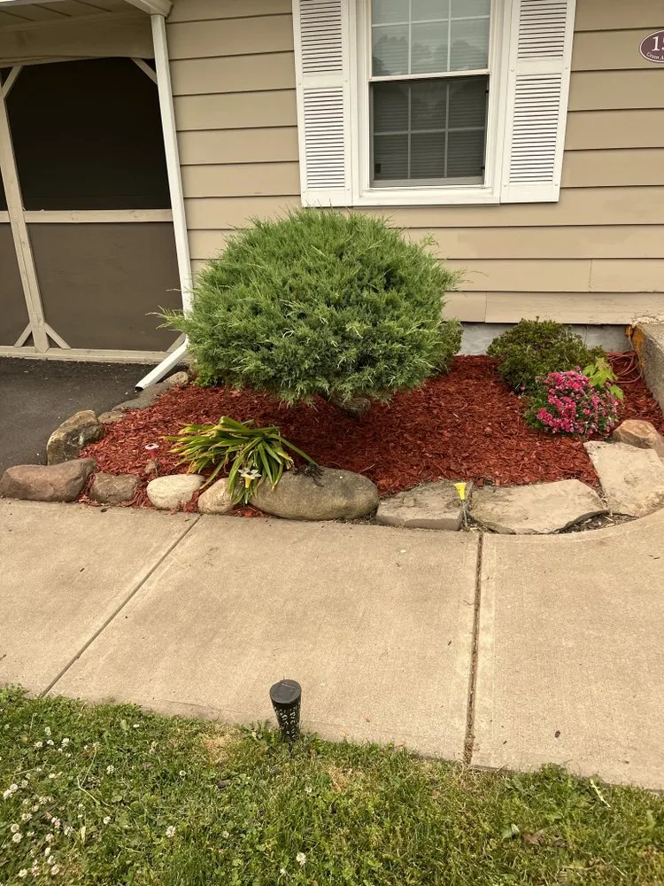 Affordable yard cleanup service for year-round maintenance in Kirkville, NY by Kumars Lawn Care