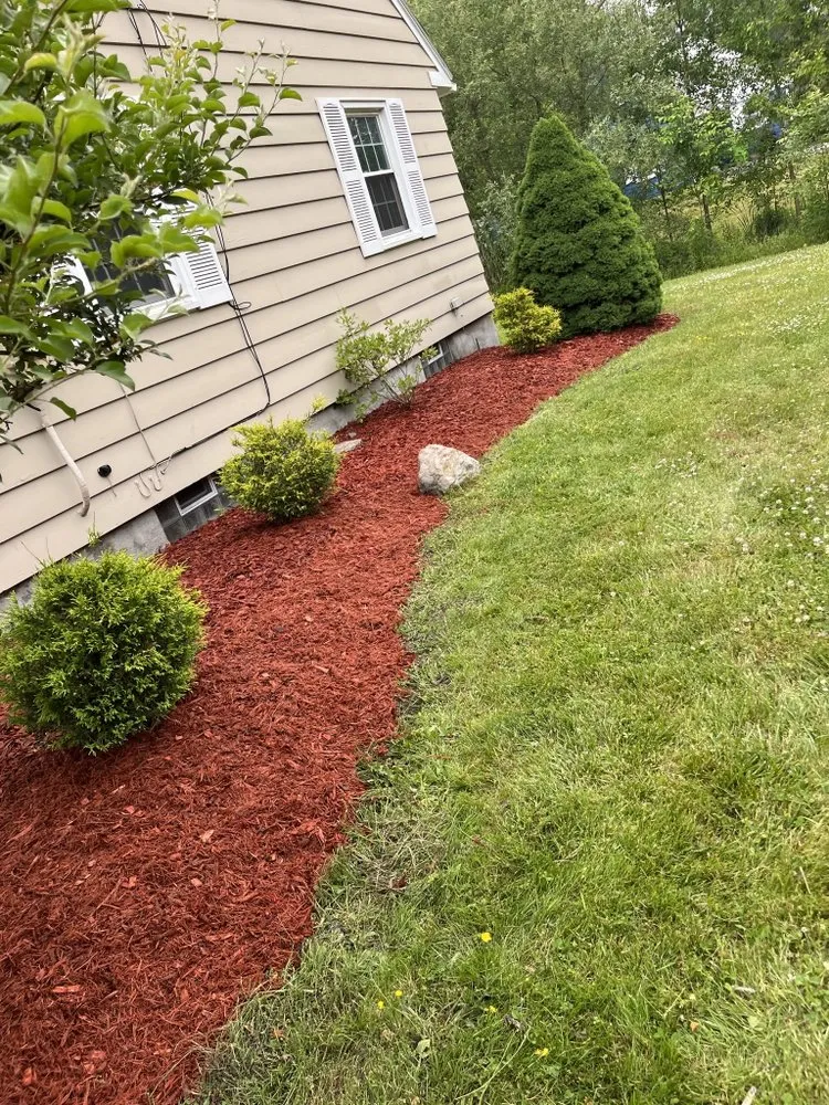 Affordable lawn care service in Kirkville, NY by Kumars Lawn Care