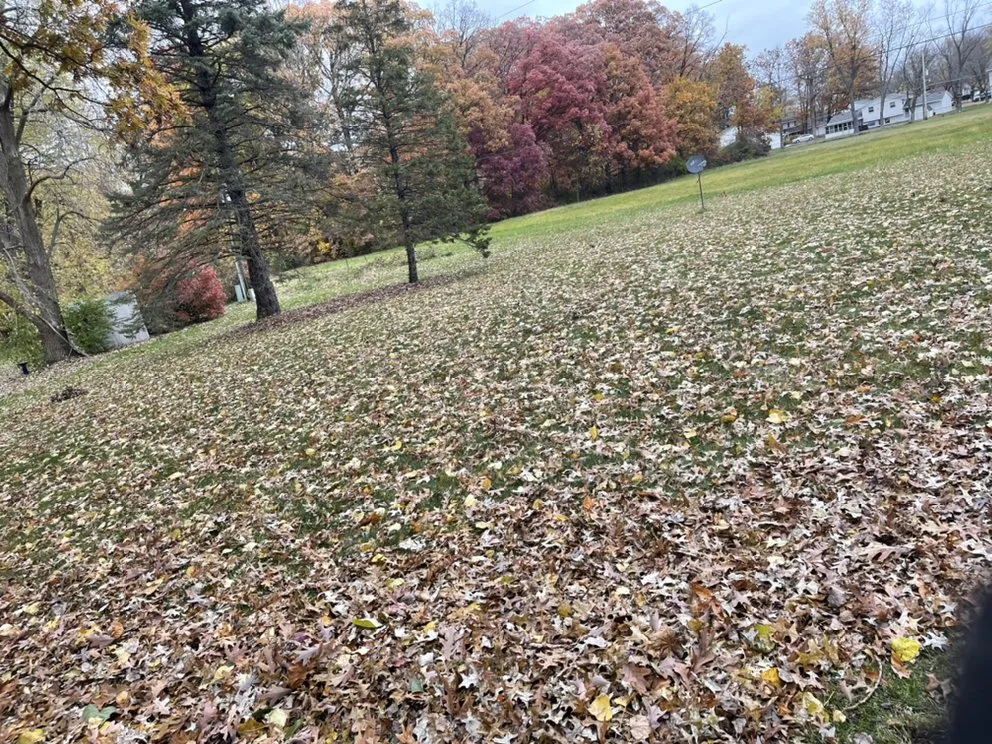 Affordable lawn care service for year-round maintenance across Fort Wayne, IN - Kumfer’s Lawn Care Service