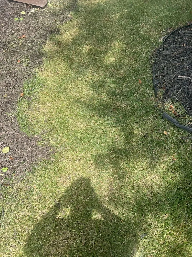 Expert yard cleanup service experts serving Fort Wayne, IN - Kumfer’s Lawn Care Service