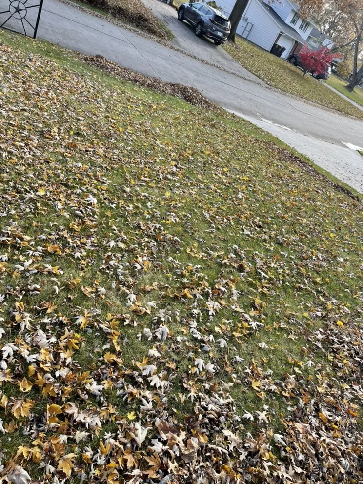 Affordable outdoor landscaping in Fort Wayne, IN by Kumfer’s Lawn Care Service