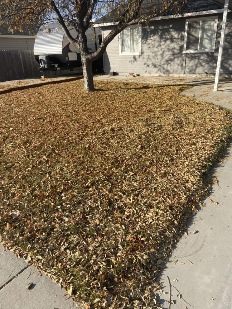 Trusted yard maintenance in Kuna, ID - Kuna Grass Works