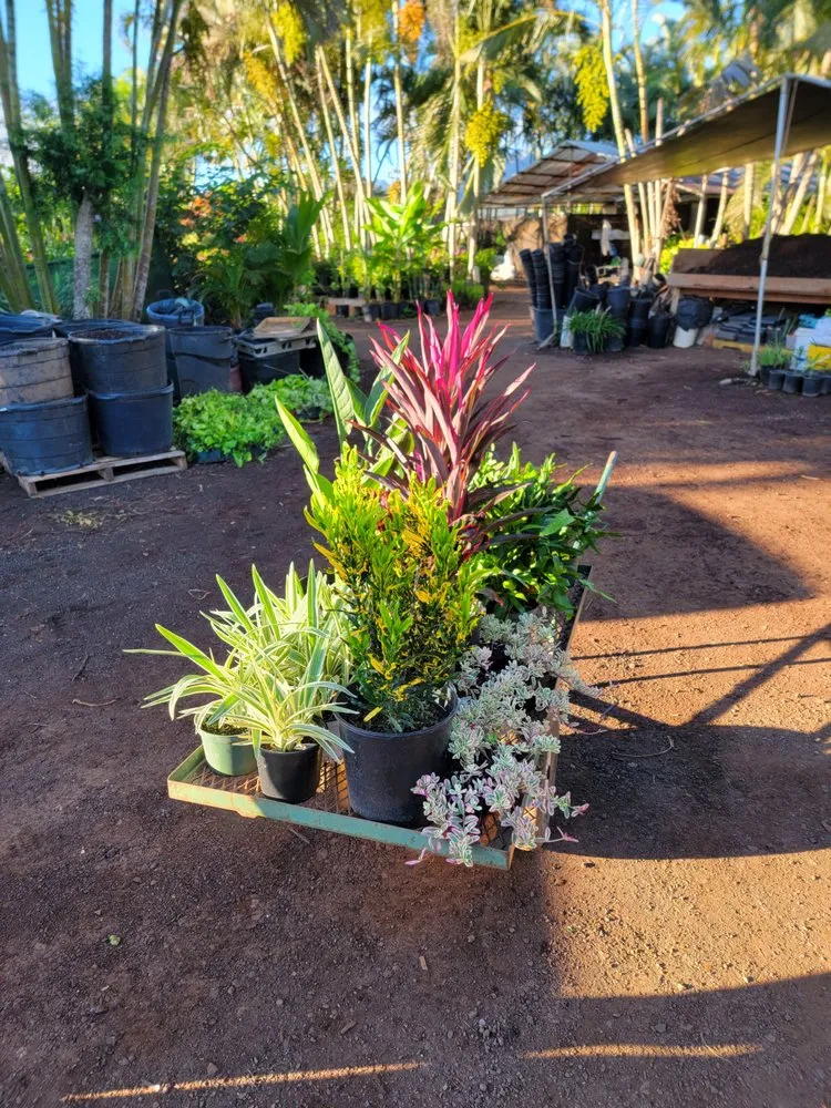 Custom yard maintenance experts serving Kunia, HI - Kunia Country Farms