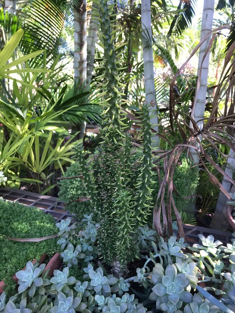 Custom landscape design with custom design across Kunia, HI - Kunia Country Farms