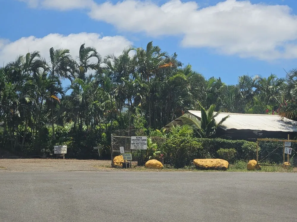 Custom landscape design for year-round maintenance across Kunia, HI - Kunia Country Farms