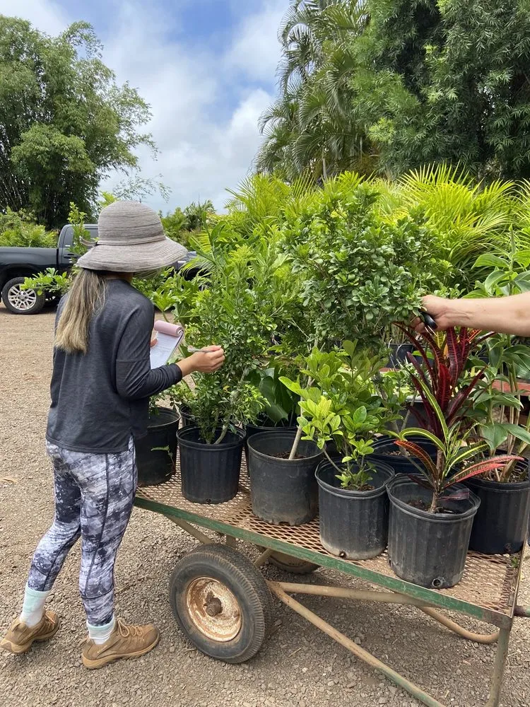 Trusted yard cleanup service for year-round maintenance in Kunia, HI by Kunia Country Farms