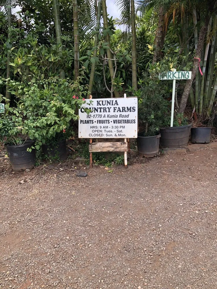 Trusted residential landscaping with custom design across Kunia, HI - Kunia Country Farms
