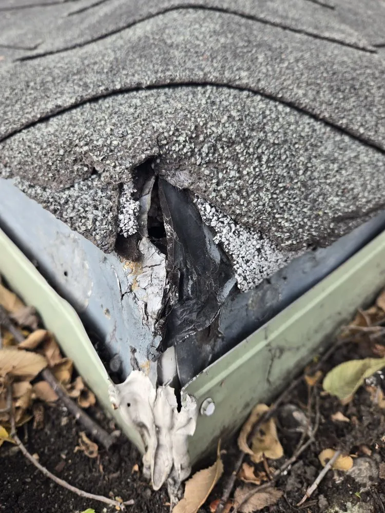 Top-rated lawn care service for residential properties across Coon Rapids, MN - Kuntry's Landscaping Service