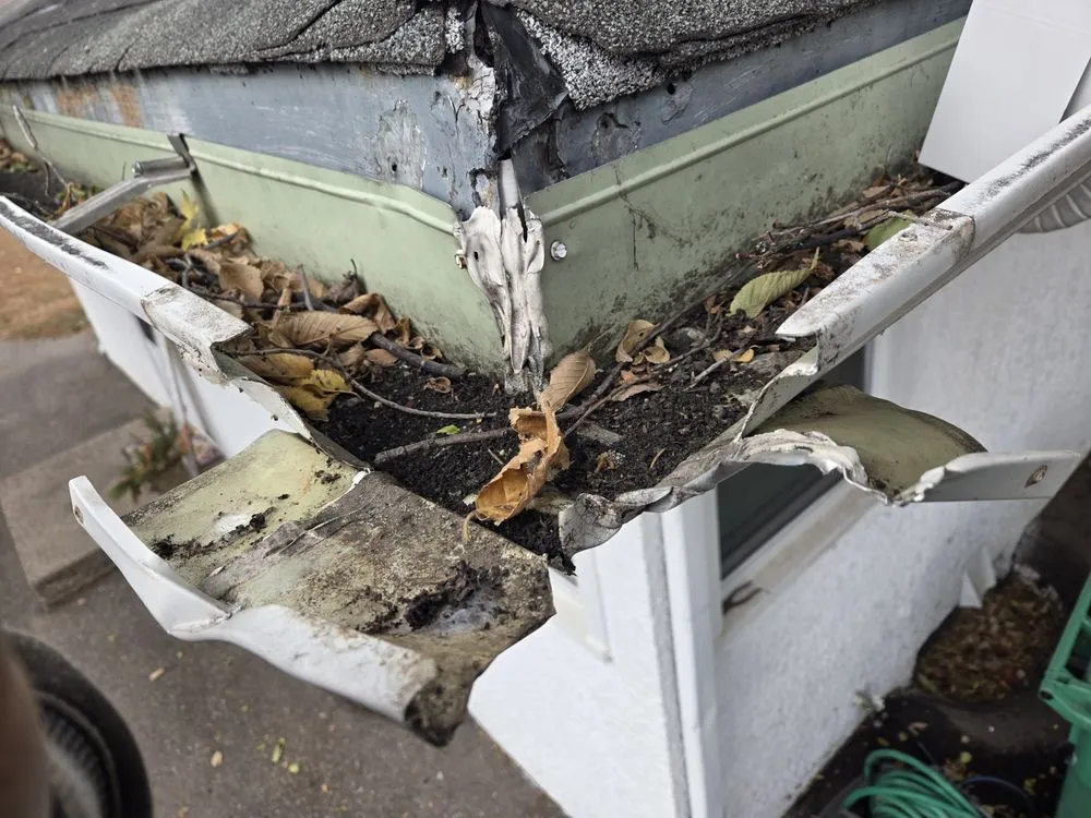 Custom landscape design for homes across Coon Rapids, MN - Kuntry's Landscaping Service