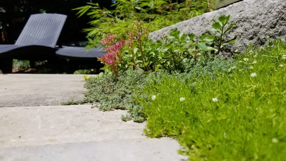 Local landscaping services in Clinton Township, MI by Kuppe's Landscape Services