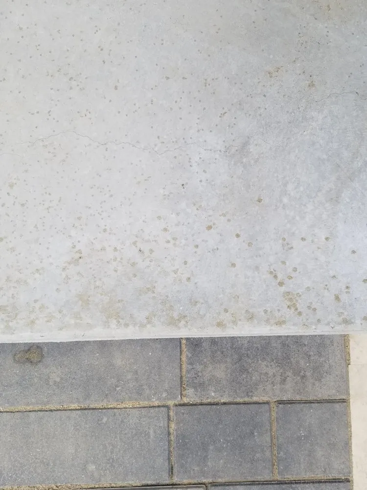 Affordable landscaping services for year-round maintenance in Clinton Township, MI by Kuppe's Landscape Services