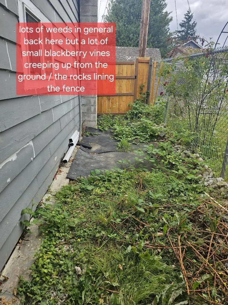 Local garden landscaping experts serving Marysville, WA - Kurian’s Lawn Care