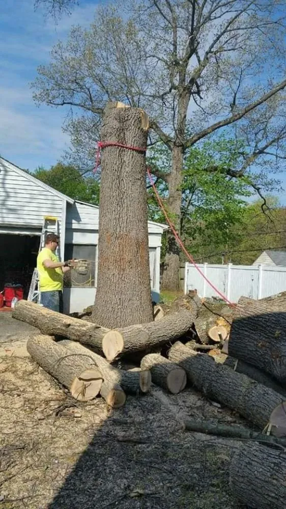 Expert garden landscaping for residential properties across Manchester, CT - Kurt's Tree and Landscape Company