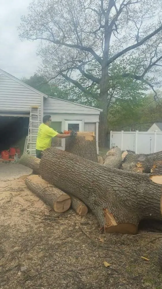 Top-rated outdoor landscaping for year-round maintenance in Manchester, CT by Kurt's Tree and Landscape Company