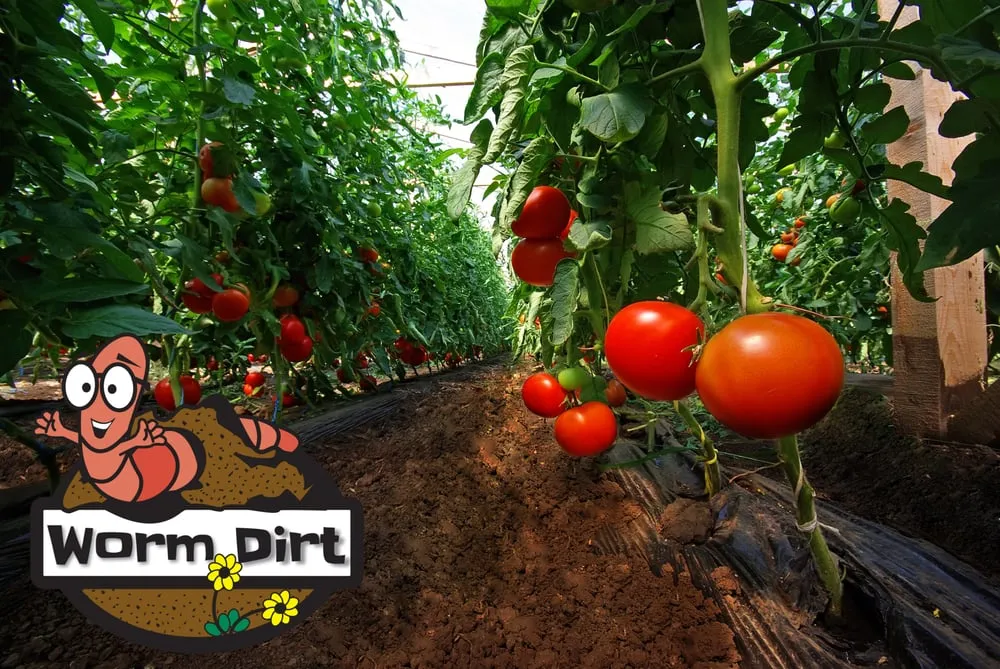 Affordable garden landscaping for homes across Willowick, OH - Kurtz Bros