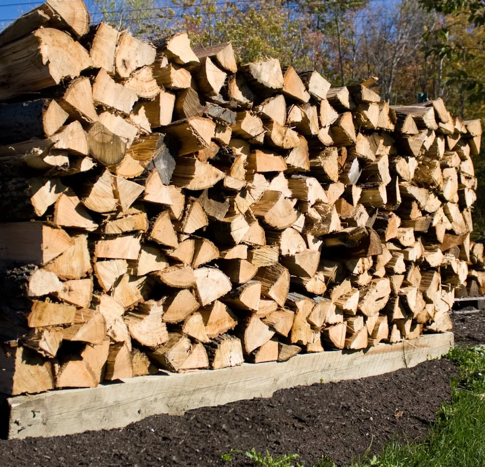 Expert yard maintenance in Willowick, OH - Kurtz Bros