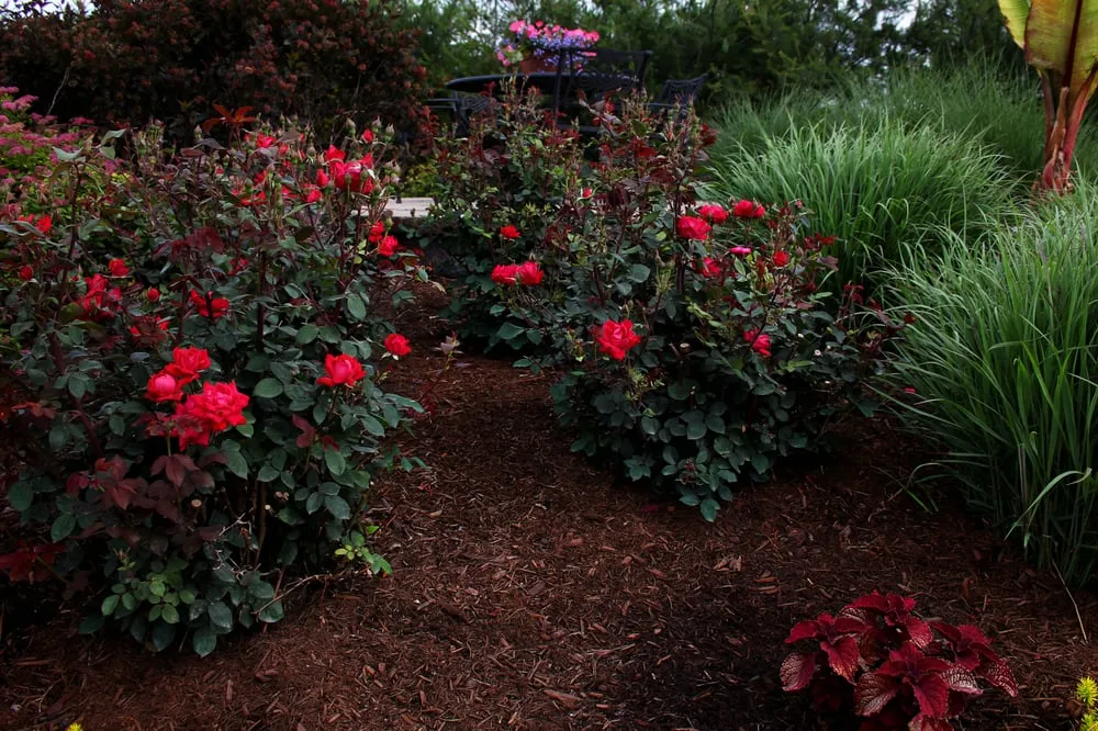 Top-rated landscape design experts serving Willowick, OH - Kurtz Bros