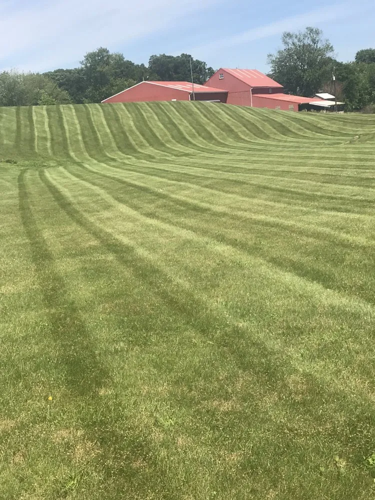 Reliable yard cleanup service in Denver, PA by Kurtz’s Lawn Service