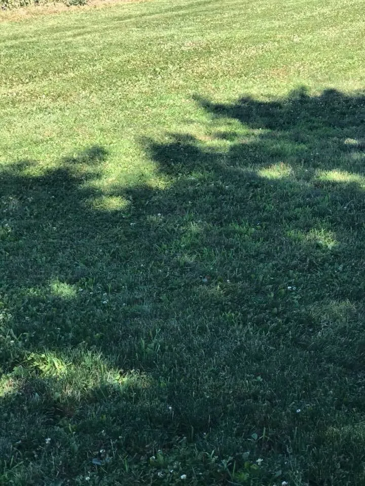 Trusted residential landscaping in Denver, PA by Kurtz’s Lawn Service