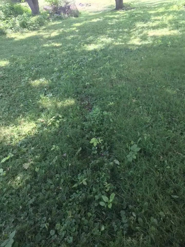 Local residential landscaping in Denver, PA by Kurtz’s Lawn Service