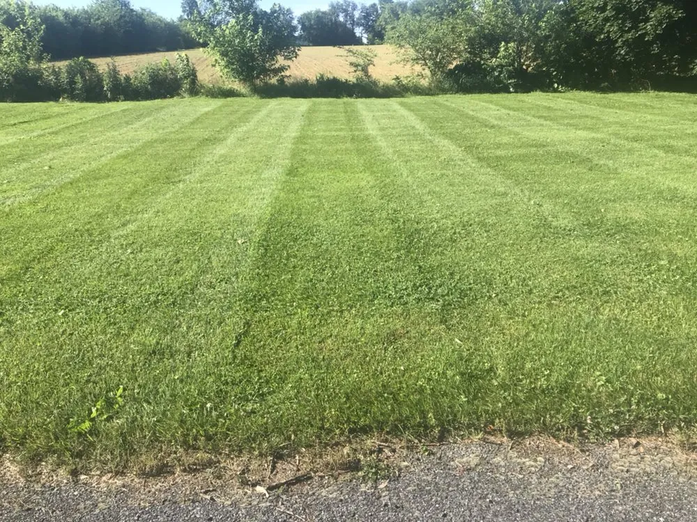 Expert yard maintenance for beautiful yards across Denver, PA - Kurtz’s Lawn Service