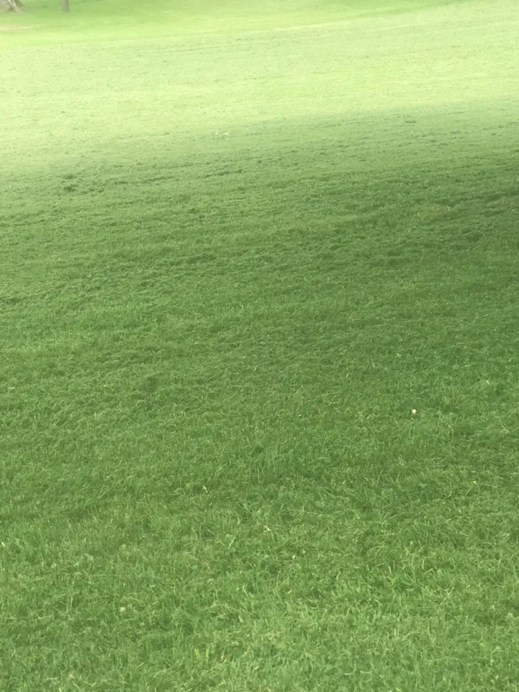 Professional yard maintenance experts serving Denver, PA - Kurtz’s Lawn Service