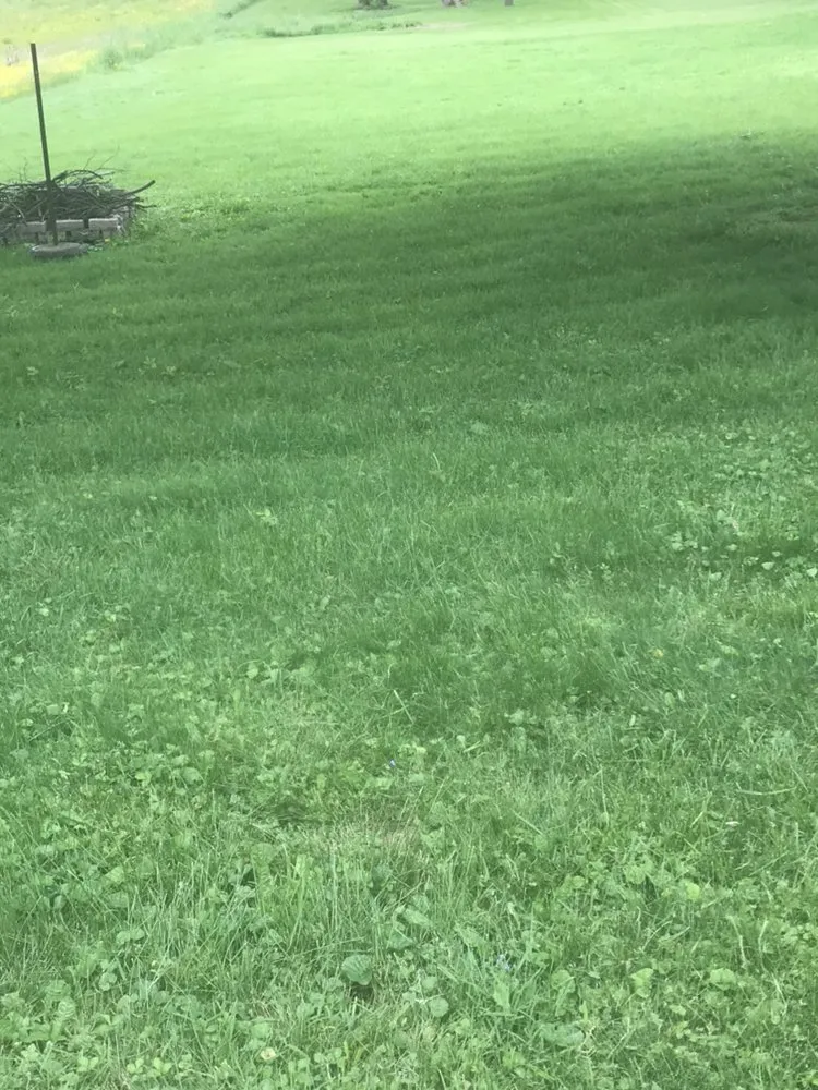 Custom landscape installation for homes across Denver, PA - Kurtz’s Lawn Service