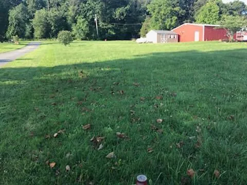 Affordable lawn care service experts serving Denver, PA - Kurtz’s Lawn Service