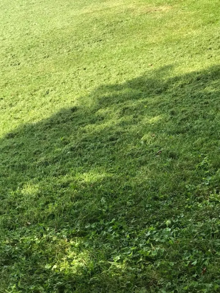 Reliable residential landscaping for residential properties in Denver, PA by Kurtz’s Lawn Service