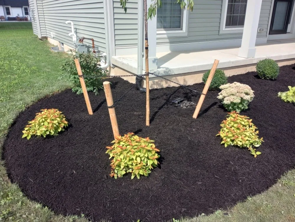 Top-rated yard maintenance in Buffalo, NY by Kusari Doi Gardens