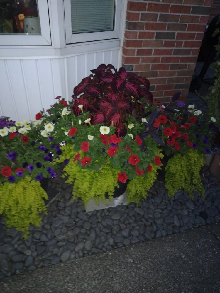 Affordable yard maintenance for homes across Buffalo, NY - Kusari Doi Gardens