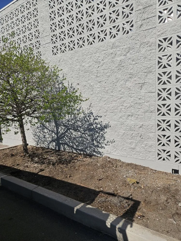 Trusted residential landscaping in Colorado Springs, CO - Kush Landscapes