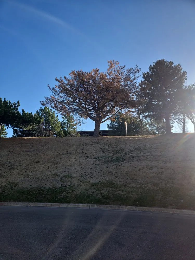 Reliable lawn care service for outdoor upgrades in Colorado Springs, CO by Kush Landscapes