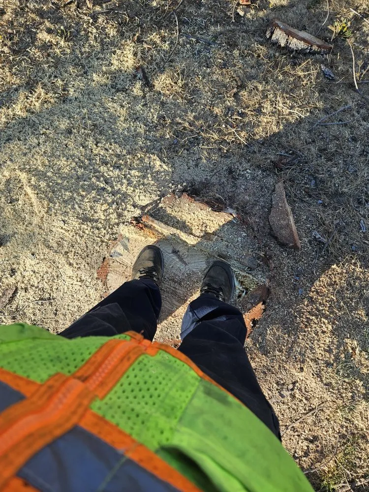 Top-rated landscape design for year-round maintenance across Colorado Springs, CO - Kush Landscapes