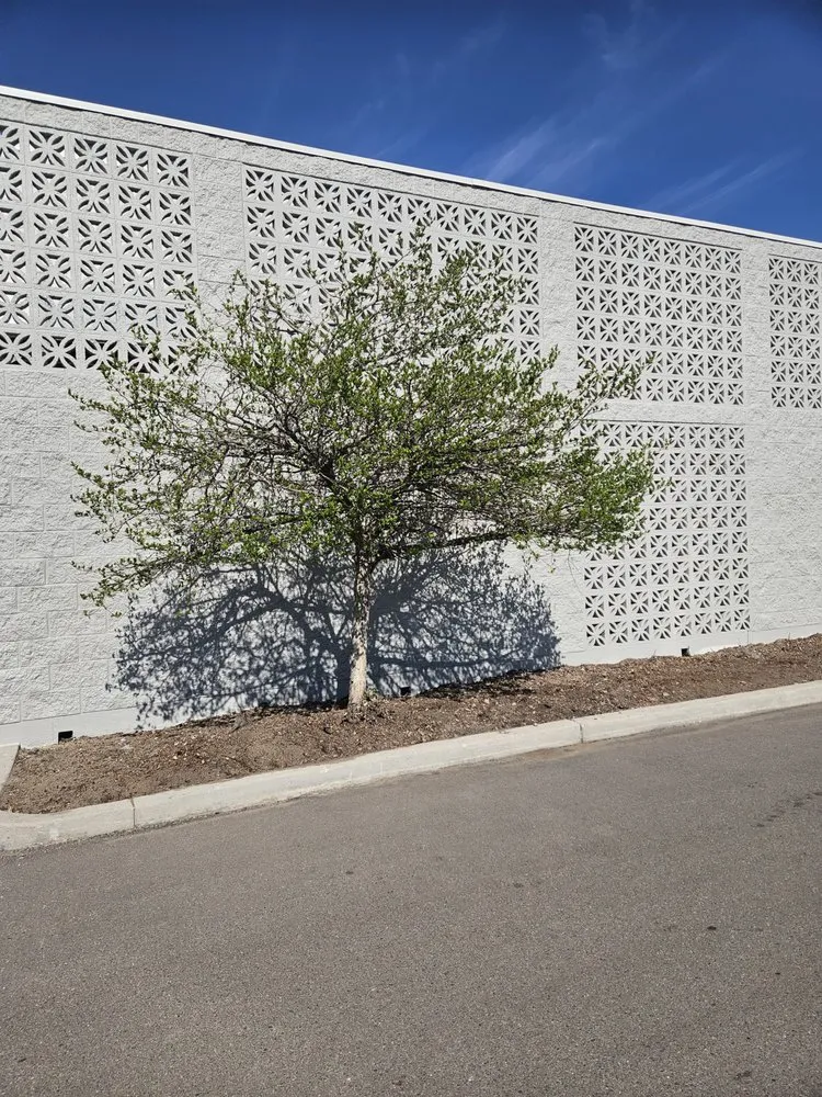 Expert outdoor landscaping in Colorado Springs, CO - Kush Landscapes