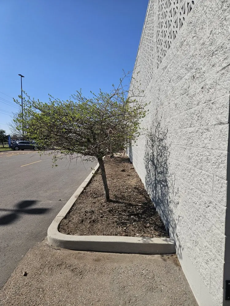 Local lawn mowing service experts serving Colorado Springs, CO - Kush Landscapes