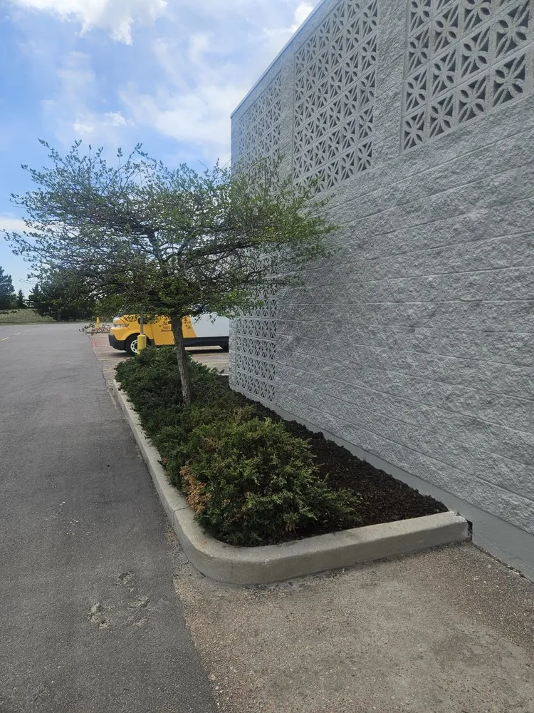 Reliable yard cleanup service in Colorado Springs, CO - Kush Landscapes