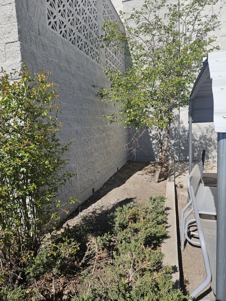 Trusted lawn mowing service in Colorado Springs, CO by Kush Landscapes