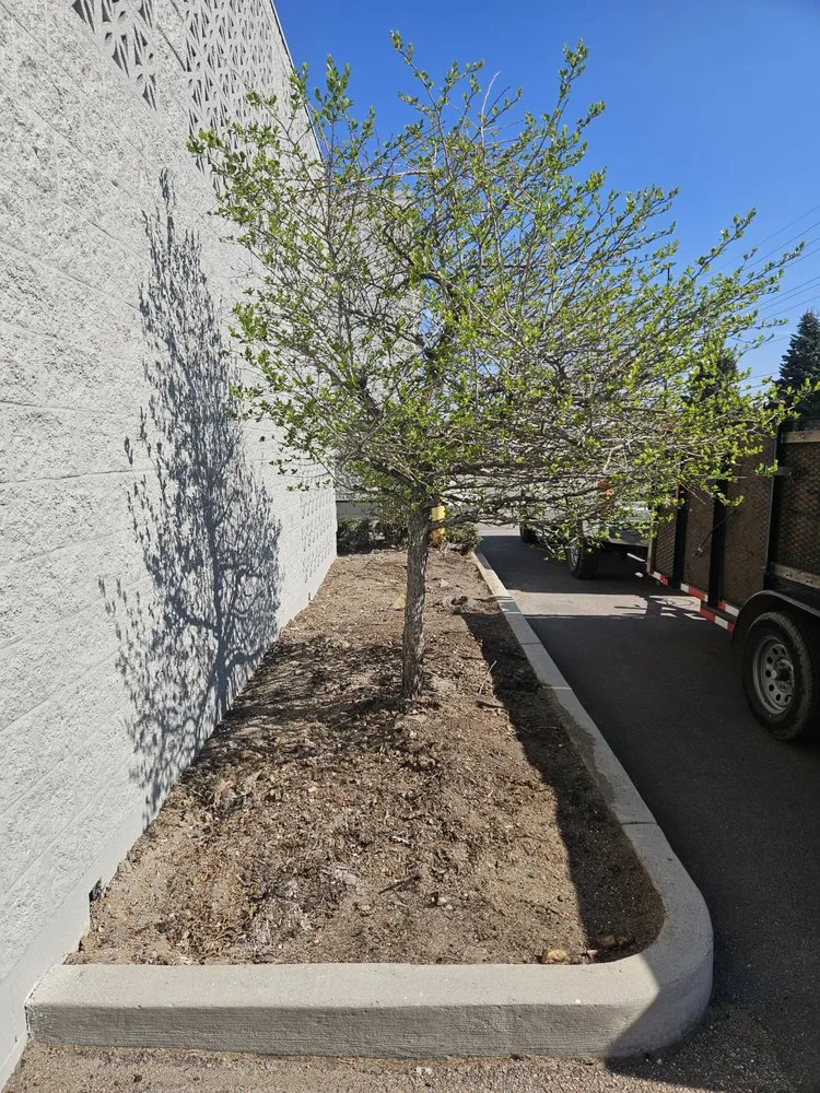 Custom yard maintenance for beautiful yards across Colorado Springs, CO - Kush Landscapes