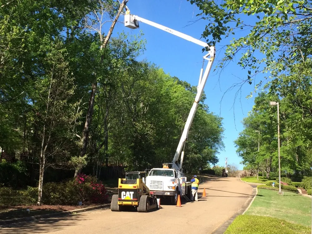 Reliable residential landscaping in Brandon, MS - Kustom Kutz Tree Service