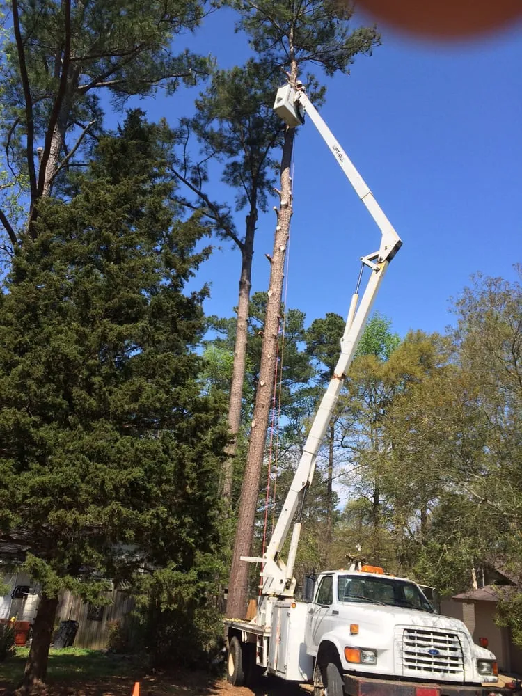 Custom landscape installation in Brandon, MS by Kustom Kutz Tree Service