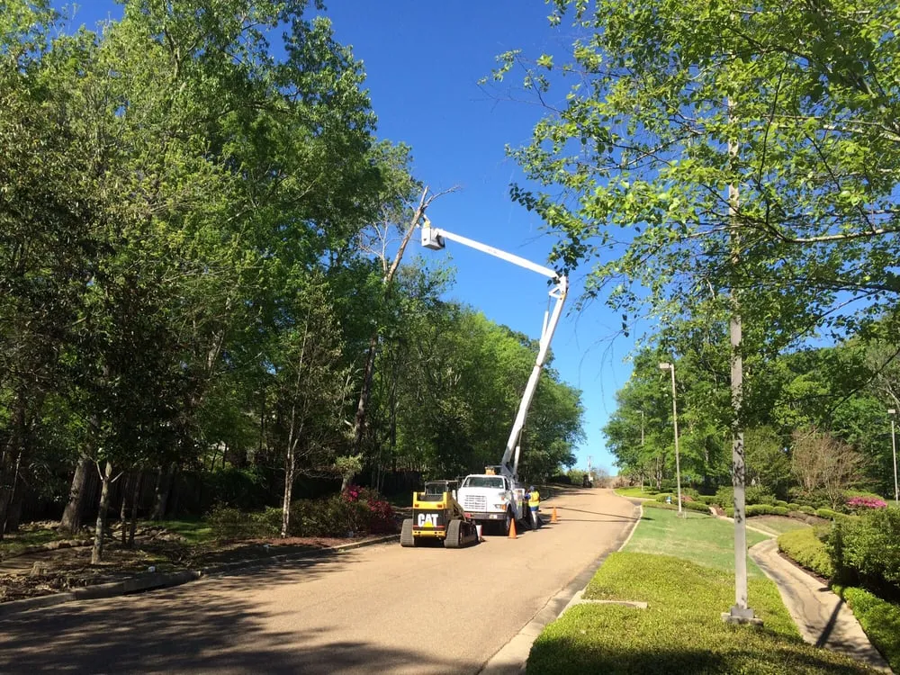 Reliable lawn mowing service experts serving Brandon, MS - Kustom Kutz Tree Service