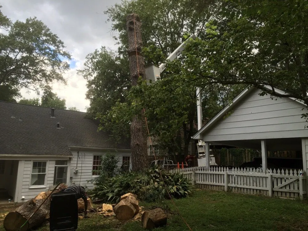 Trusted landscaping services near you across Brandon, MS - Kustom Kutz Tree Service