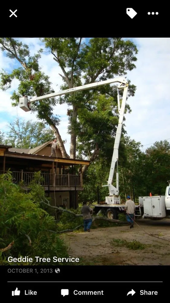 Reliable landscape design for outdoor upgrades across Brandon, MS - Kustom Kutz Tree Service