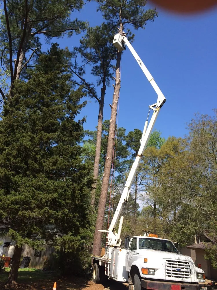 Trusted residential landscaping in Brandon, MS by Kustom Kutz Tree Service